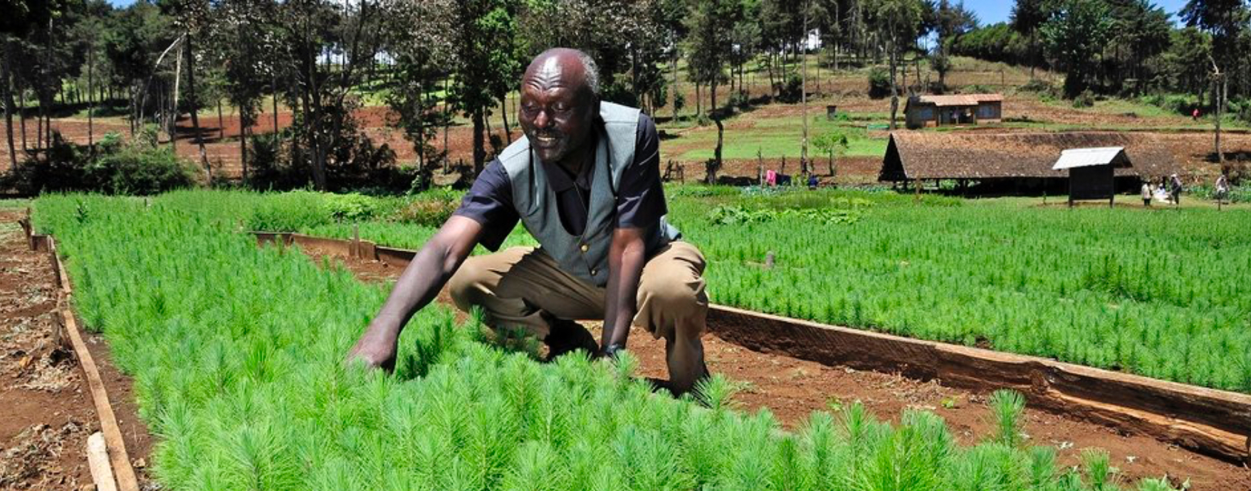 2ème appel à projets « Innovations pour une agriculture familiale intelligente face aux changements climatiques en Afrique de l’Ouest »