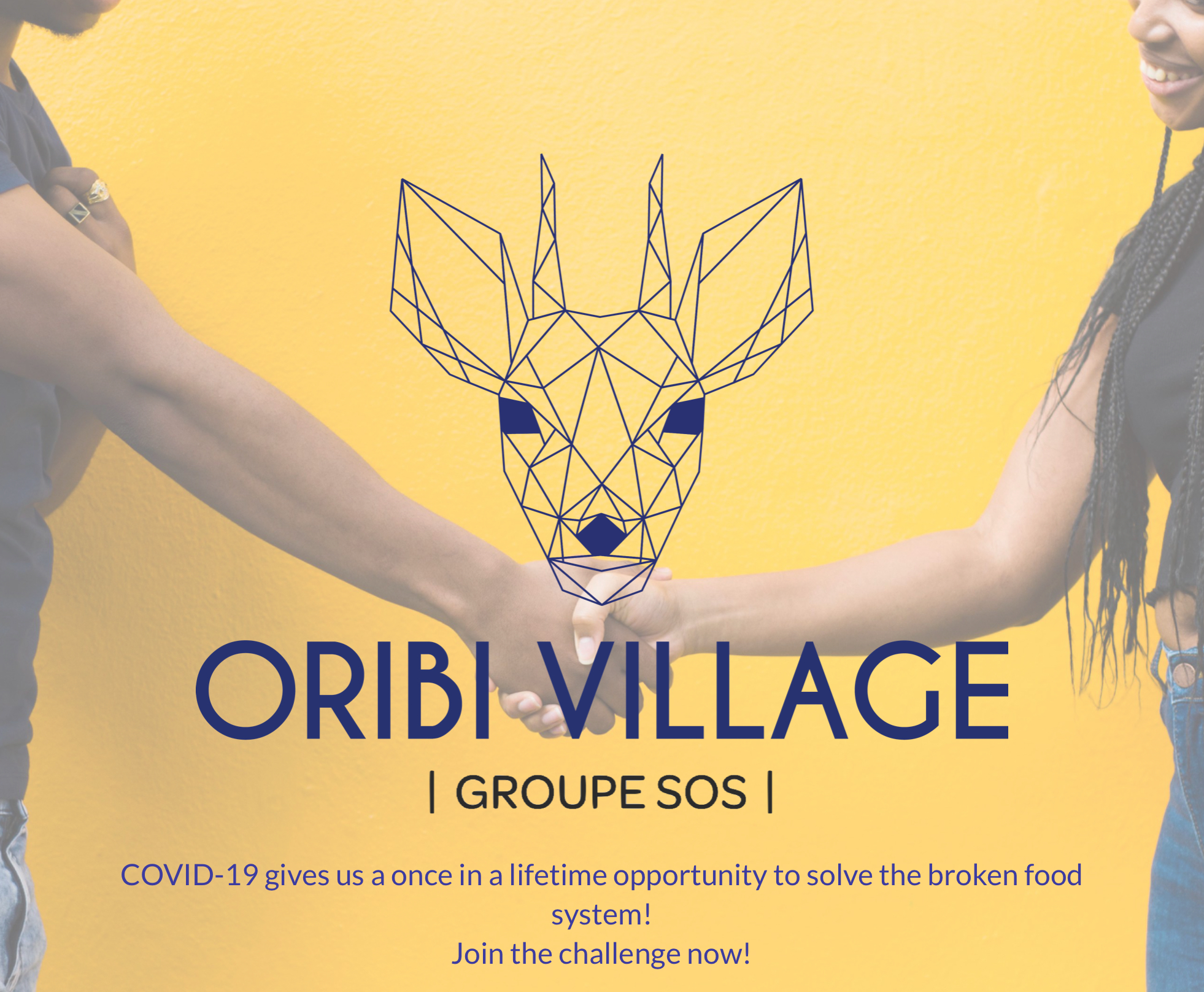 Oribi Village : l’incubateur de Pulse en Afrique du Sud repense le système alimentaire