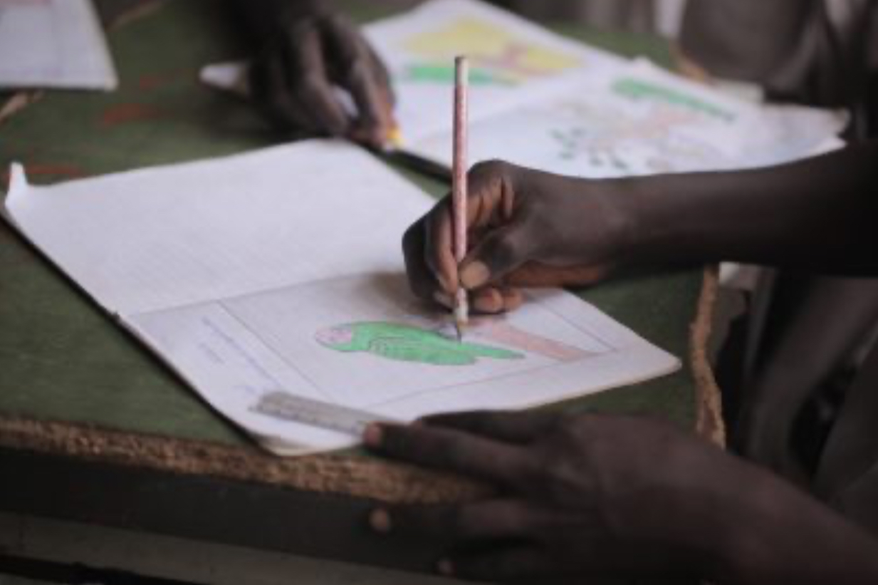 Continuités pédagogiques en Afrique francophone : réalisations concrètes, innovations techniques et professionnalisation des enseignants