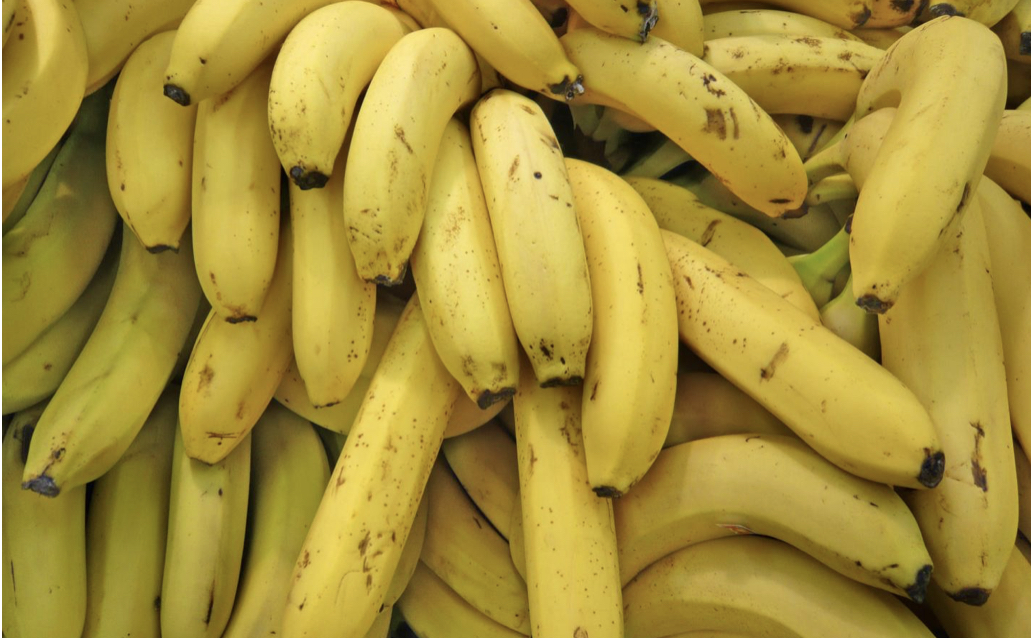 Le WWF France et la Compagnie Fruitière renouvellent leur partenariat pour une production plus durable de la banane en Afrique de l’Ouest