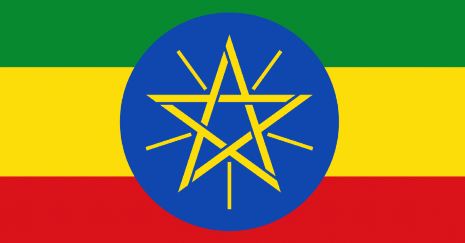 Proparco et Ethos Mezzanine Partners investissent dans la plateforme éthiopienne Turaco