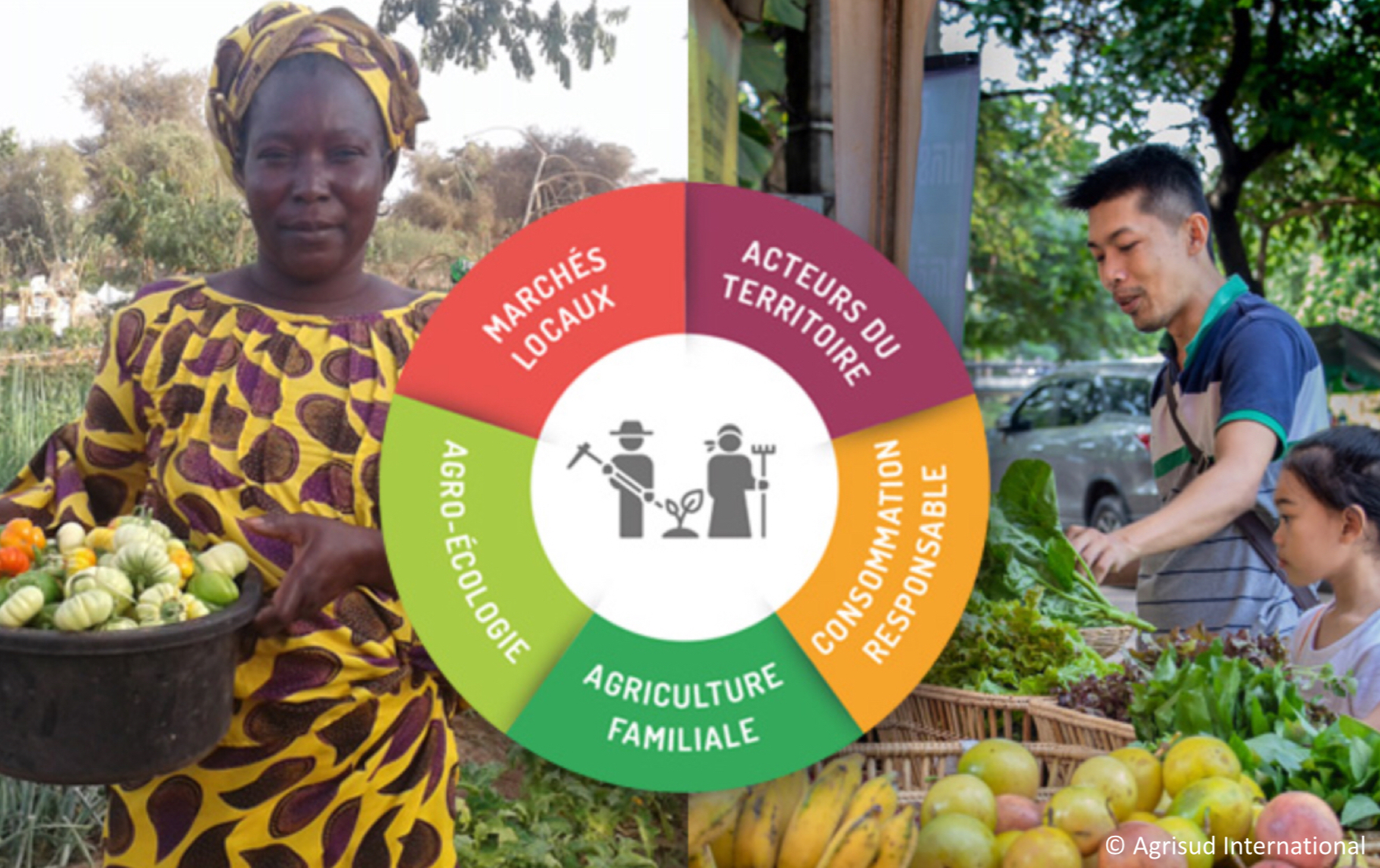 Analyse d’Agrisud International – Covid-19 – L’agriculture familiale agro-écologique pour des systèmes alimentaires durables
