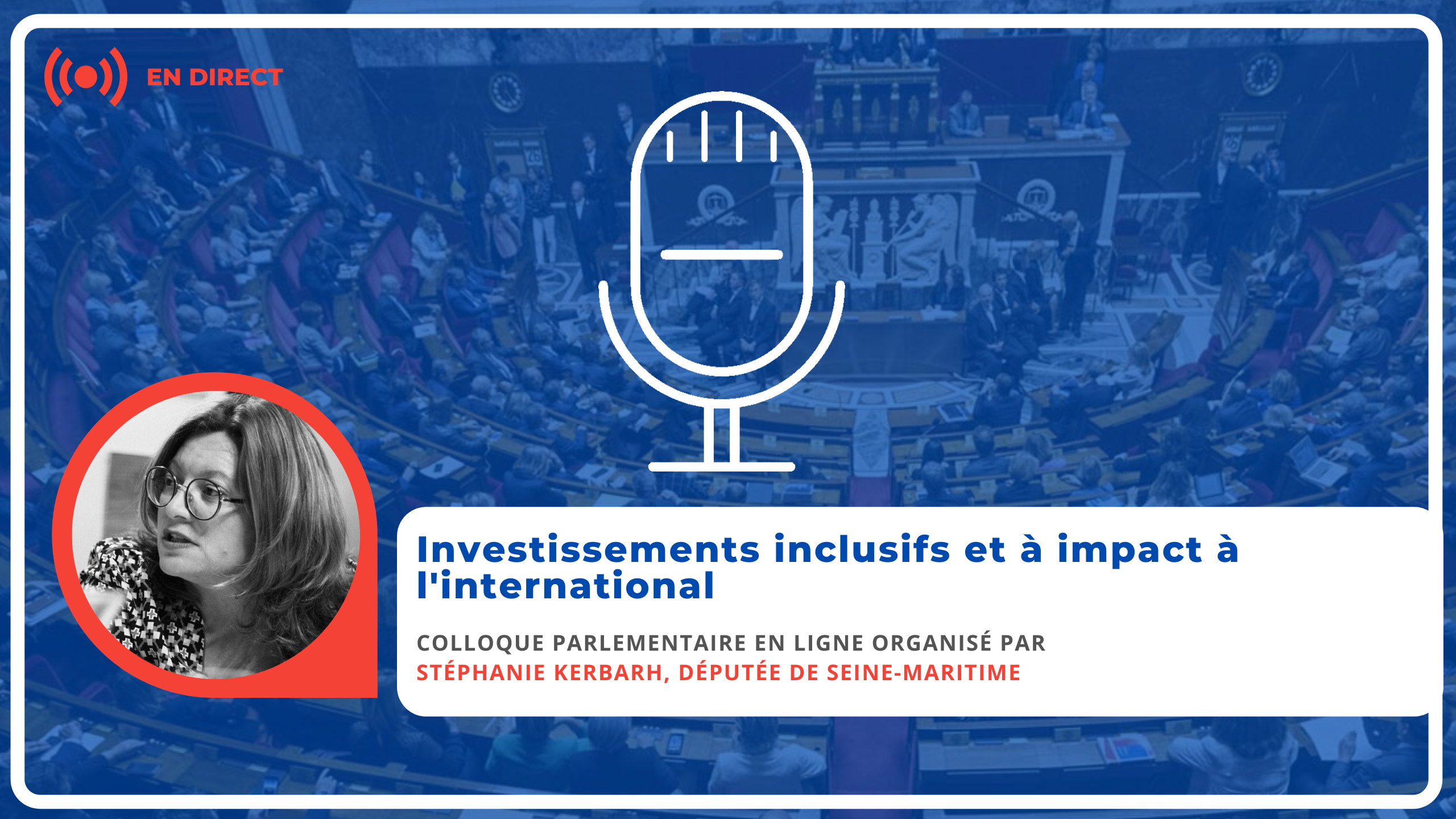 Colloque parlementaire en ligne : Investissements inclusifs et à impact à l’international, le 19 juin à 14 heures