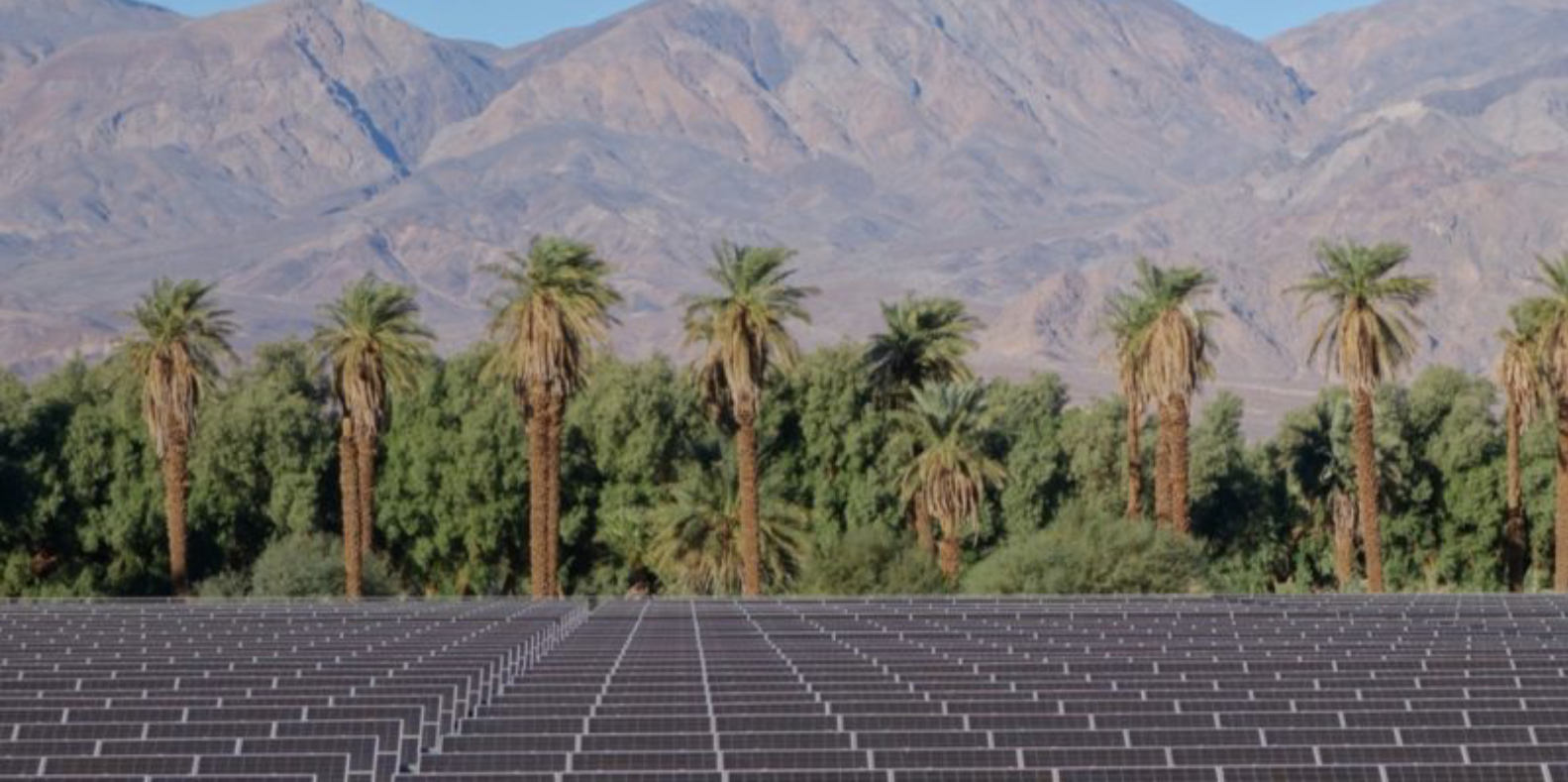 Tunisie : plusieurs IPP désignées pour produire 70 MWc grâce à 16 centrales solaires
