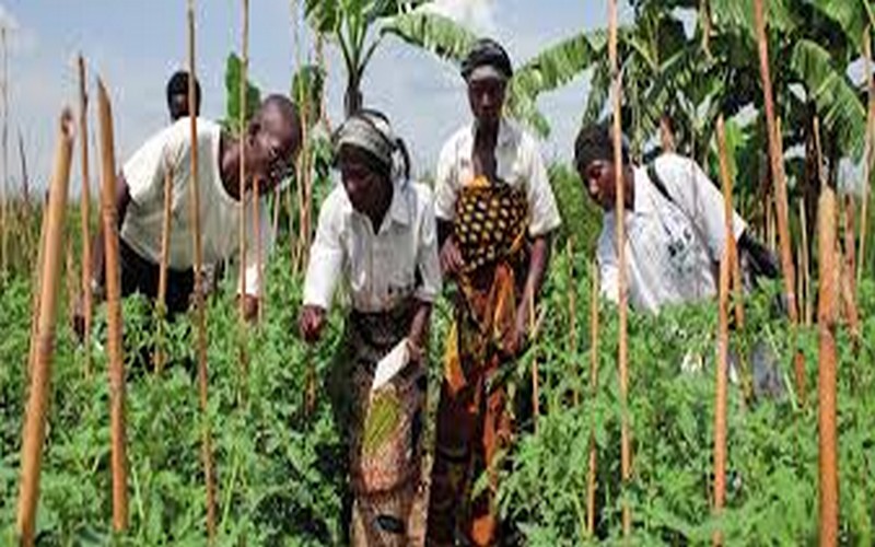 L’ONG Inter Aide appuie les petites exploitations agricoles familiales en Ethiopie