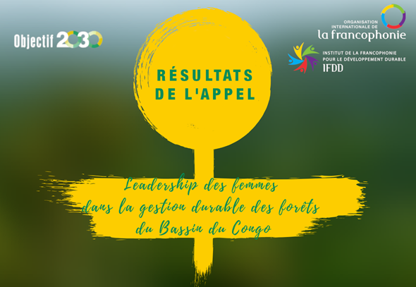 Afrique centrale : l’OIF soutient 3 initiatives féminines de gestion durable des forêts et d’autonomisation des femmes au Cameroun, en RDC et au Rwanda – IFDD