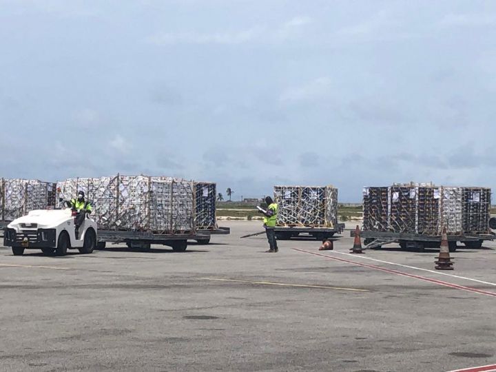 Bolloré Transport & Logistics appuie la filière Mangues en Côte d’Ivoire, au Burkina Faso et au Mali