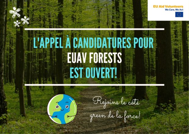 L’appel à candidatures pour EUAV FORESTS est ouvert !