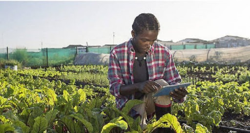 Programme  »Défi Agri »: pour l’amélioration des revenus des producteurs