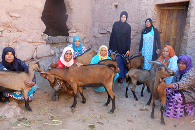 Favoriser l’émancipation des femmes rurales marocaines par la production de lait et de fromage de chèvre avec Éleveurs Sans Frontières.