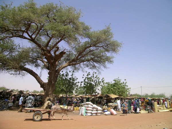 Soutenir l’entreprenariat au Sahel Burkinabè avec le projet PADES organisé par le SIAD