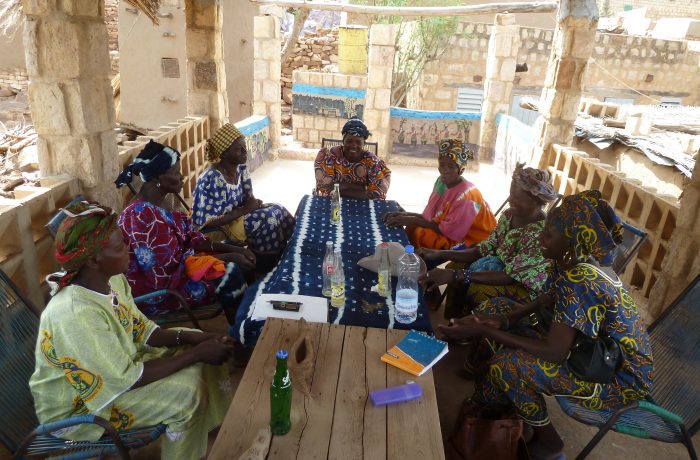 Mali : Développement local durable à Iréli par l’ADESAF