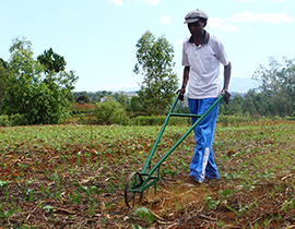 Projet d’Amélioration de la Productivité Agricole à Madagascar (PAPAM) organisé par Agrisud et cofinancé par l’AFD – Vakinankaratra