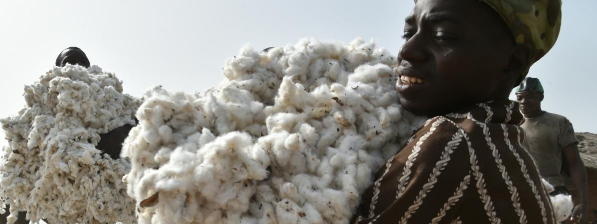 Côte d’Ivoire : une start-up toulousaine au service de la filière coton