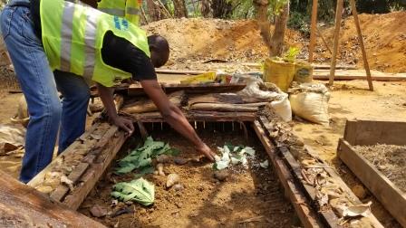 Cameroun : Appui à la transition agroécologique des exploitations familiales agricoles avec Ingénieurs Sans Frontières.