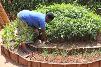 RDC : Formation aux techniques agricoles pour lutter contre la malnutrition avec l’ADRA