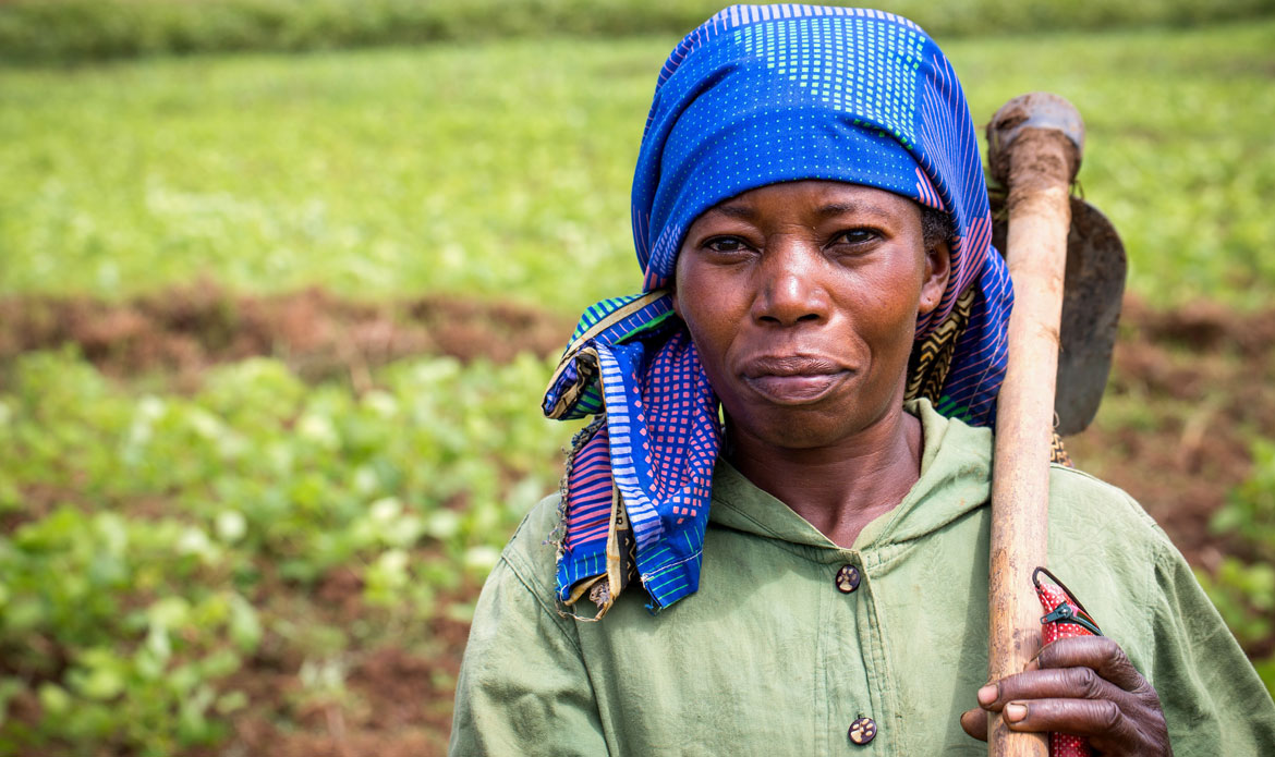 L’AFDI (Agriculteur Français et Développement International), partenaire de Solidarité des Femmes Paysannes pour l’Amélioration de l’agriculture et du centre Kitumaini (RDC).