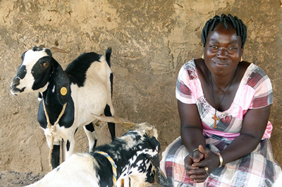 5. Améliorer la sécurité alimentaire et économique des familles par le développement durable de l’élevage de poules et de chèvres avec Éleveurs Sans Frontières