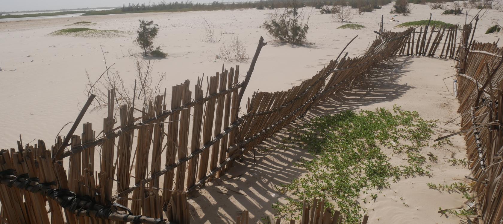 Des solutions douces pour lutter contre l’érosion côtière au Sénégal avec le FFEM