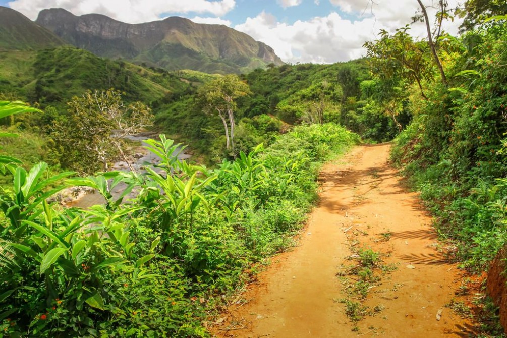 Projet TAPIA | Préservation des forêts, soie sauvage et apiculture à Madagascar.
