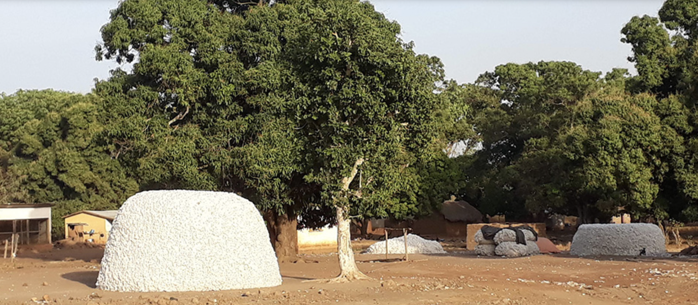 Collège agricole rurale en Côte d’Ivoire avec la Louis Dreyfus Foundation.