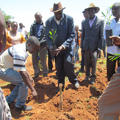 Communs et gouvernance partagée – Renforcer la gouvernance et la gestion d’un périmètre agroforestier en RDC.