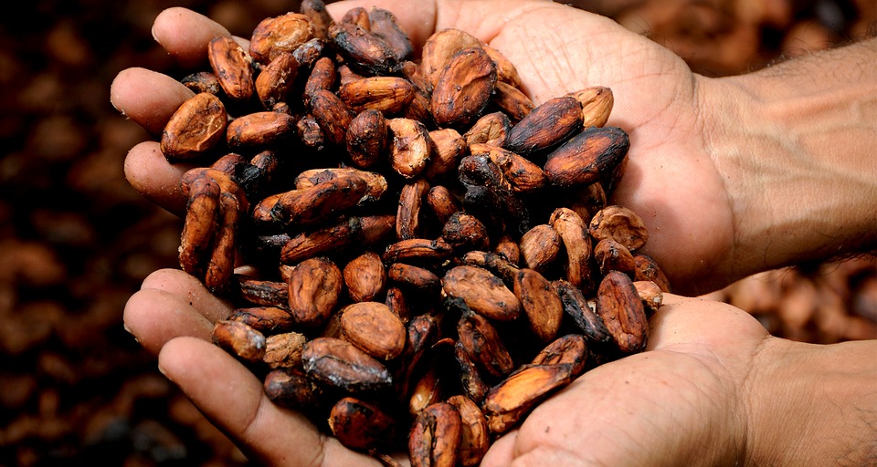 #WEBINAIRE – Vers un cacao durable : potentiels et défis d’une chaîne de valeur complexe.