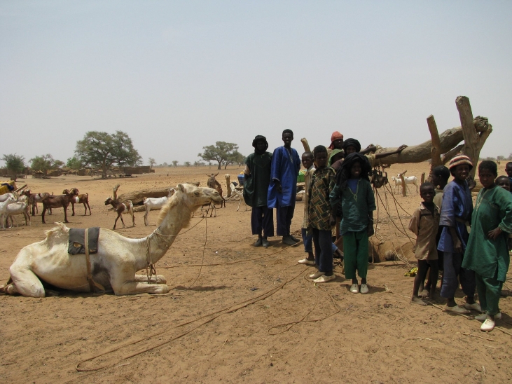AVSF met en place des systèmes de soins et de prévention en santé animale et humaine au Mali