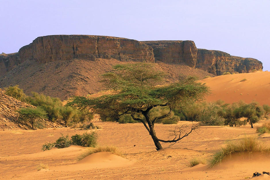 Améliorer la gestion des déchets dans une région touristique de la Mauritanie avec la Fondation Veolia.