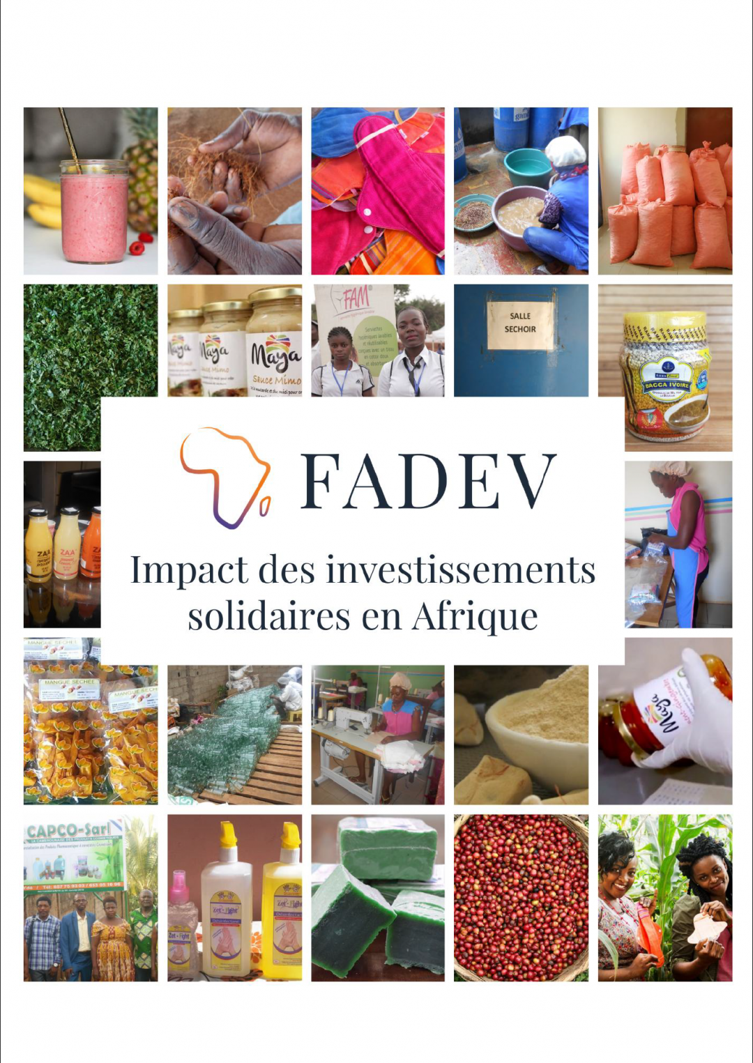 La FADEV réponds aux besoins d’investissements solidaires en Afrique