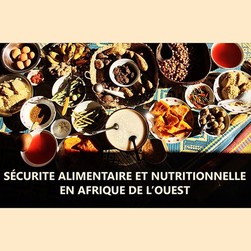 Webinaire – Comment promouvoir la diversité alimentaire à l’échelle familiale en Afrique de l’Ouest ?