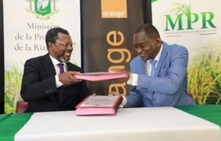 Orange Côte d’Ivoire signe un partenariat avec le Ministère de la Promotion de la Riziculture pour promouvoir l’E-agriculture.