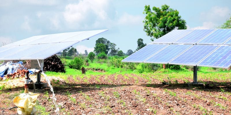 TOGO : « Bboxx EDF Togo » et SunCulture vont fournir des pompes à eau solaires