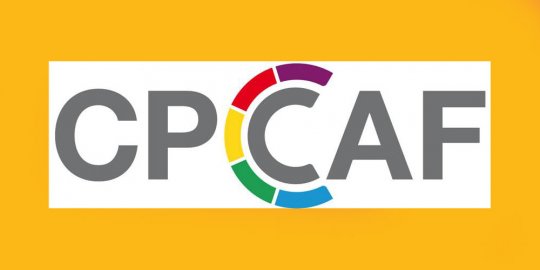 Manifeste de la CPCCAF pour un partenariat avec la Team France Développement en faveur de l’Afrique