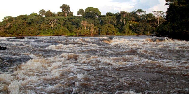 Bassin du Congo : l’AFD et le FFEM financent l’adaptation au changement climatique