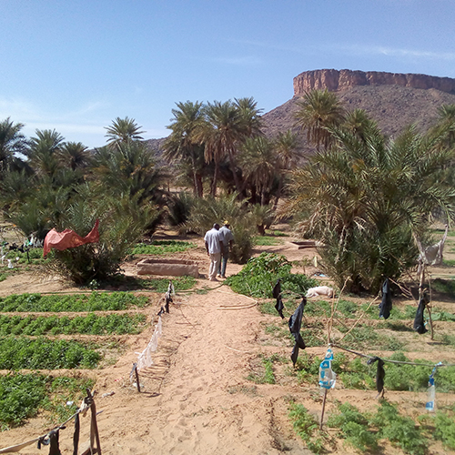 Concertation et autonomisation des communautés agro-pastorales en Mauritanie
