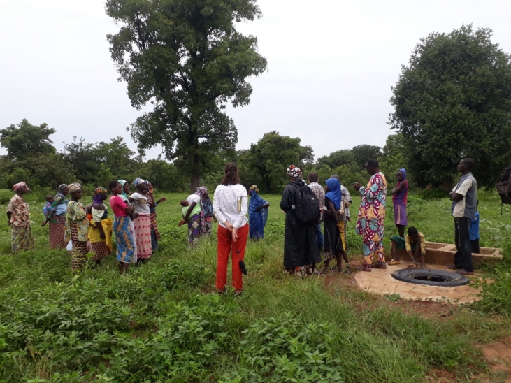 MALI : L’AVSF accompagne les jardins collectifs féminins du cercle de Kita
