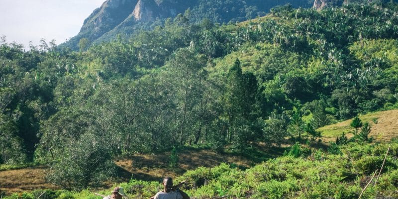 TANZANIE : Le groupe français Rossignol va planter 25 000 arbres TANZANIE : Le groupe français Rossignol va planter 25 000 arbres