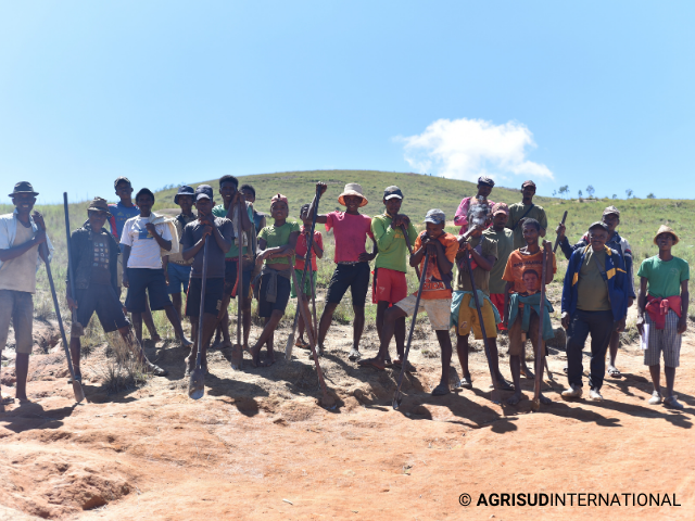 A Tree For You & Agrisud : La campagne de plantation démarre à Soarano !