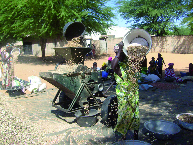 Lancement officiel du projet BioStar : des bioénergies pour les PME d’Afrique de l’Ouest
