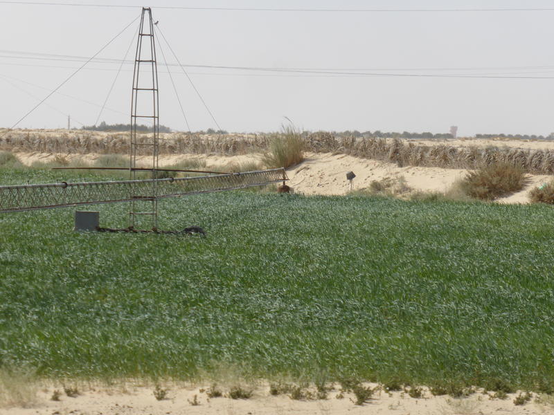 Innover pour mieux gérer la ressource en eau au Maghreb Innover pour mieux gérer la ressource en eau au Maghreb