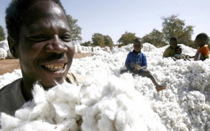 Côte d’Ivoire : l’AFD apporte un appui de 40 millions d’euros pour la résilience du coton