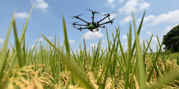 Maroc : Impact Lab lance son programme d’accélération «Launchpad Agritech»