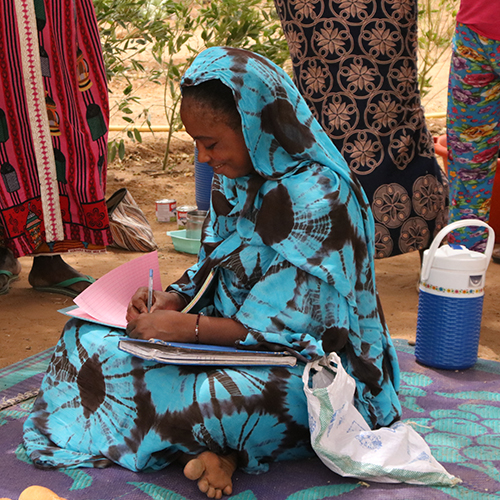 En Mauritanie, des coopératives maraîchères autonomes grâce à l’implication des paysannes