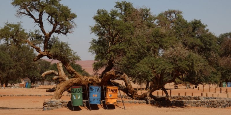 Cameroun-RDC : un appel à proposition pour soutenir l’innovation environnementale Cameroun-RDC : un appel à proposition pour soutenir l’innovation environnementale