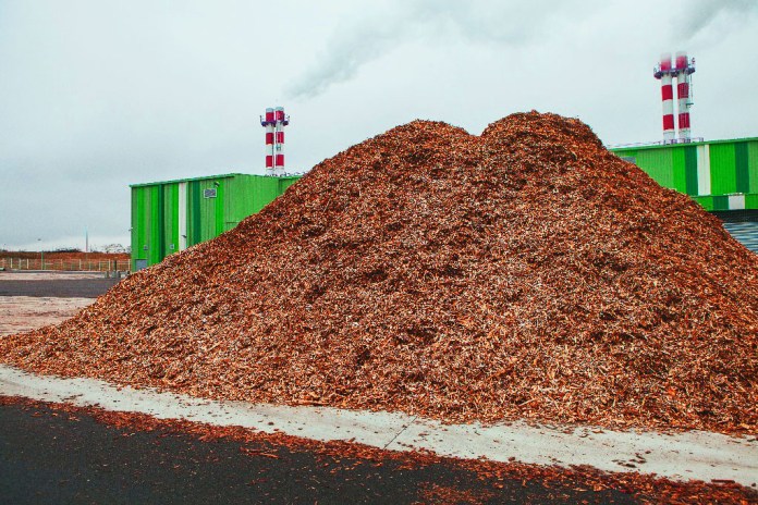 Côte d’Ivoire : les travaux de la centrale de Biomasse d’Aboisso, conçue par Biovea Energie, démarrent en septembre 2021