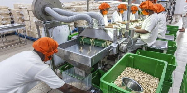 Forum Afrique 2021 du CIAN : le Togo présentera son secteur agro-industriel
