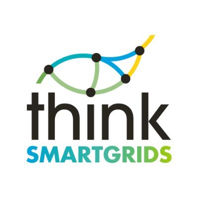 Signature d’un partenariat entre Think Smartgrids et Electriciens sans frontières
