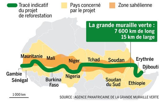 Grande muraille verte : le CIO finance une forêt olympique au Mali et au Sénégal