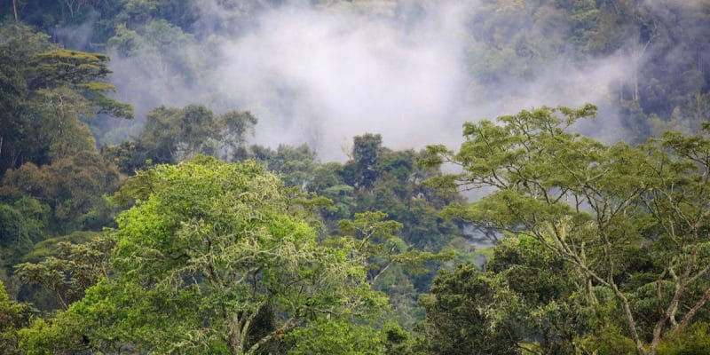 L’AFD et FFEM cofinancent la 2ème phase de Combo+, pour la biodiversité en Afrique